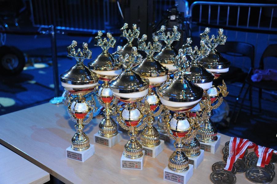 World Armwrestling Championship 2013 Photo Irina