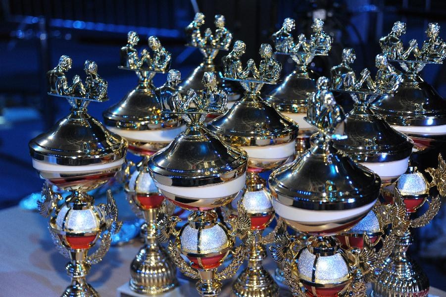 World Armwrestling Championship 2013 Photo Irina