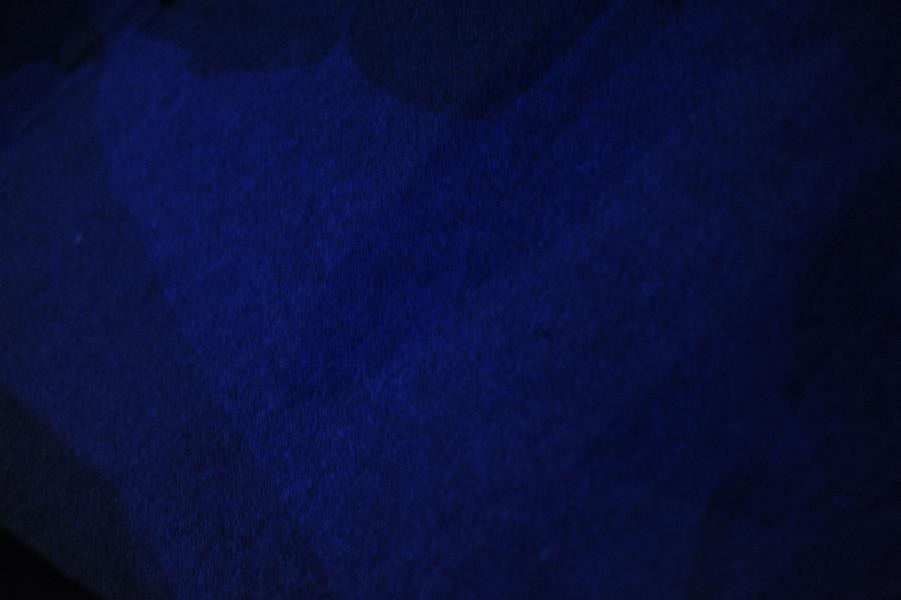 World Armwrestling Championship 2013 Photo Irina