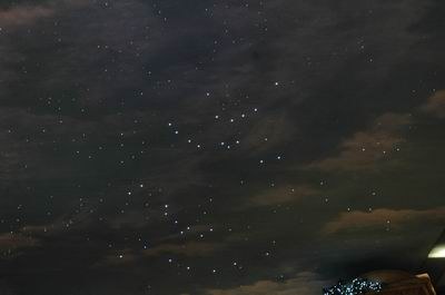 World Armwrestling Championships 2006 Day