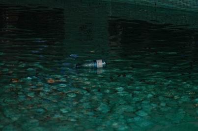 World Armwrestling Championships 2006 Day