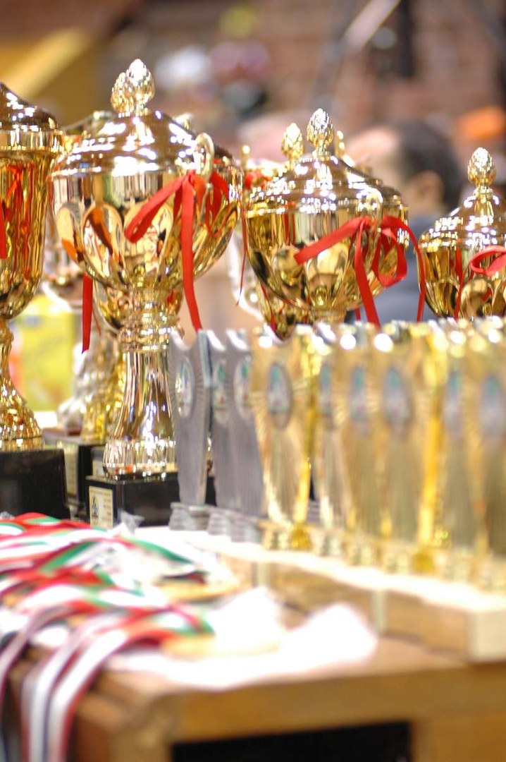 World Armwrestling Championships 2007 Day