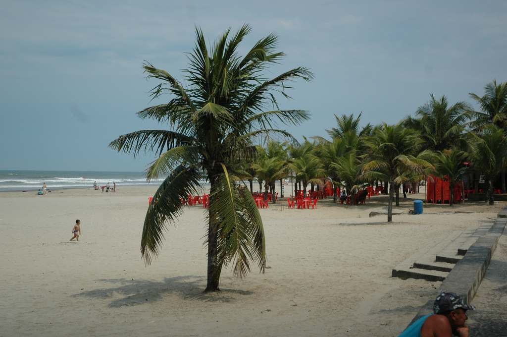 World Armwrestling Championships