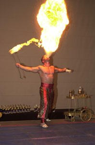 XIII European Armwrestling Championships