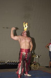 XIII European Armwrestling Championships