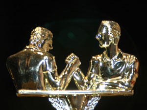 XIV European Armwrestling Championships