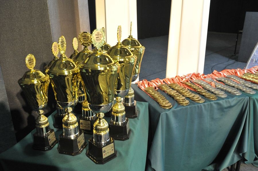 XXII European Armwrestling Championships Day