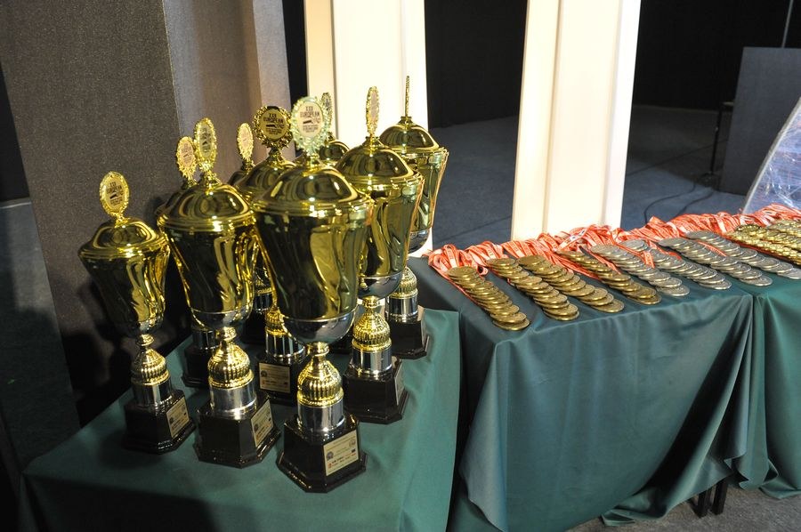 XXII European Armwrestling Championships Day