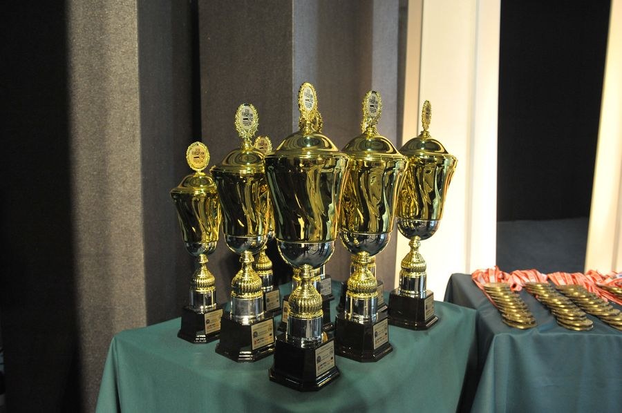 XXII European Armwrestling Championships Day