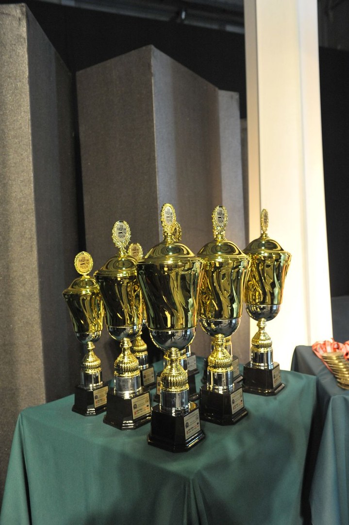 XXII European Armwrestling Championships Day