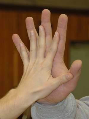 XXVII World Armwrestling Championships