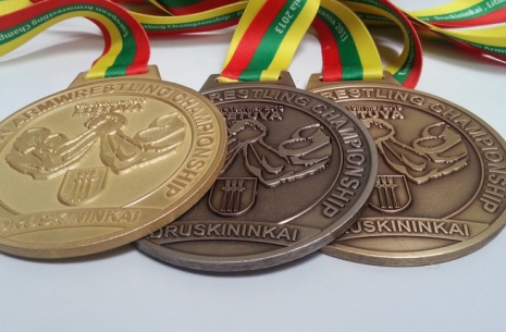 WEB COVERAGE OF THE EUROPEAN CHAMPIONSHIPS 2013