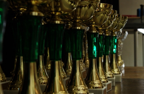 Slovakian Professionals' League