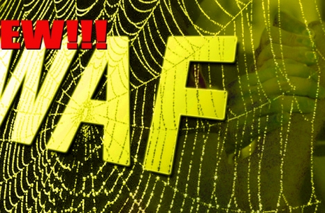 WAF'S WEBSITE - CONTINUATION...