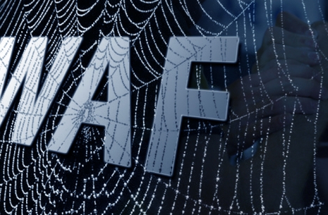 Where is WAF’s website?