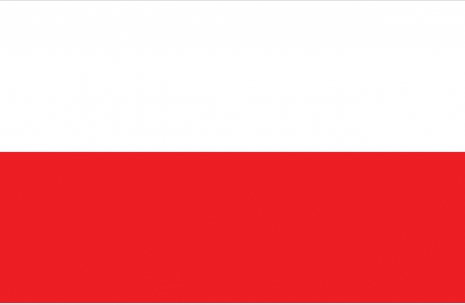 Worlds 2013 - team Poland