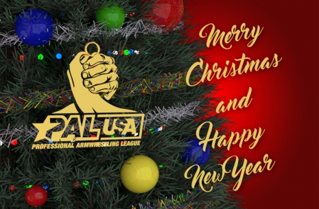 Merry Christmas and Happy New Year!